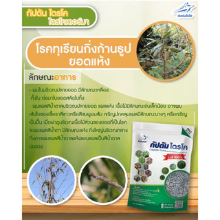 *กำจัดโรคพืช กำจัดเชื้อรา* แบบผง(500กรัม) ไตรโคเดอร์มา ตรา กัปตันโคโค่ ปลอดภัย 100 %