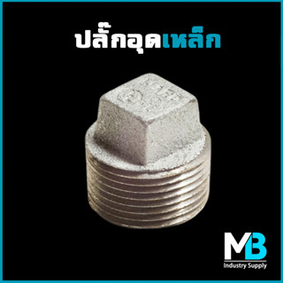 ปลั๊กอุดเหล็ก ขนาด 2" | 2.1/2" | 3" ชุบกัลวาไนซ์ ปลั๊กอุด ข้อต่อประปาเหล็ก สำหรับงานประปา และเฟอร์นิเจอร์ลอฟต์