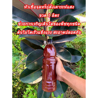 หัวเชื้อจุลินทรีย์สังเคราะห์แสง สูตรเข้มข้นแท้ 100%