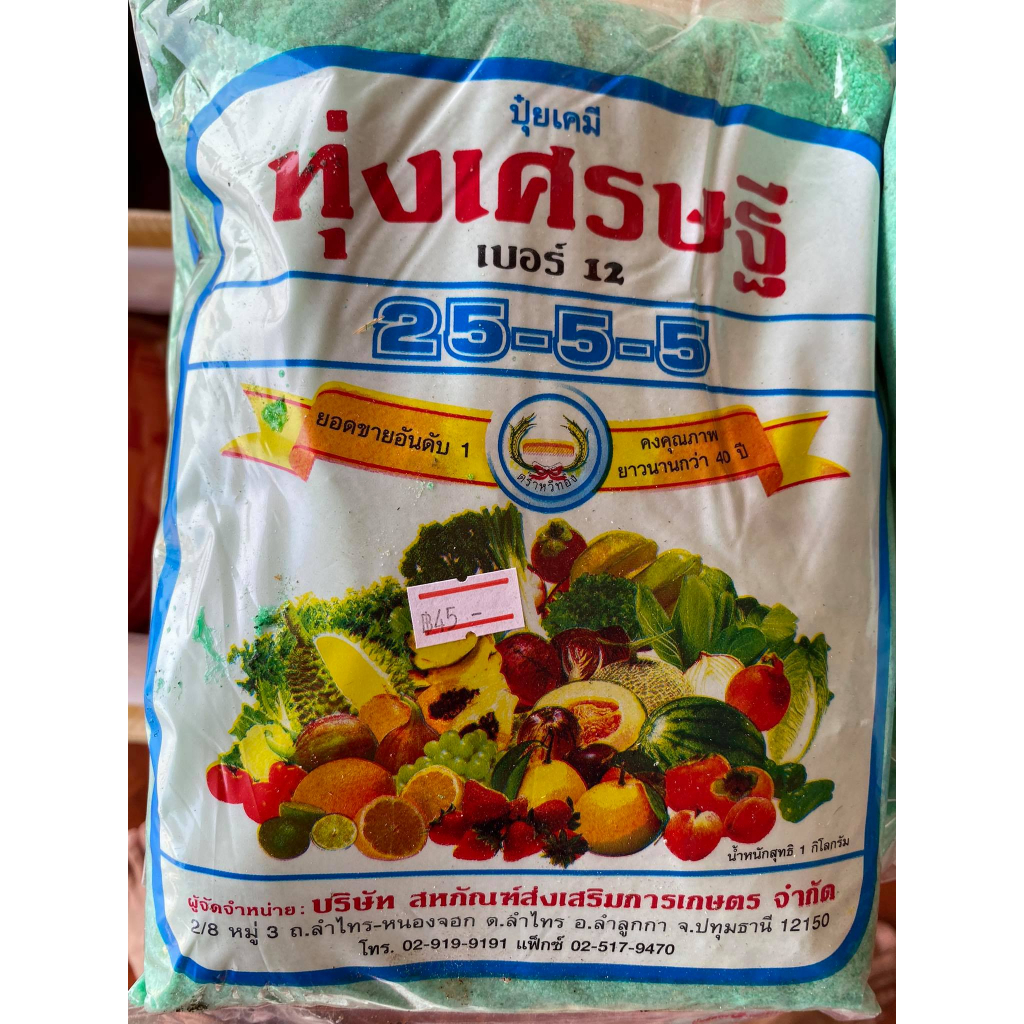 ทุ่งเศรษฐี เบอร์ 12  25-5-5