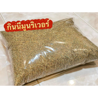 หญ้ากินนีมูนริเวอร์ กินนีมูลริเวอร์ 500 กรัม , 1 กิโล