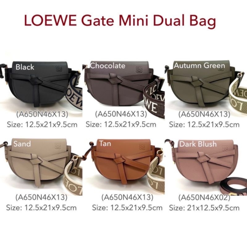 New Loewe Gate mini dual bag