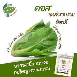 เมล็ดพันธุ์ คอส (Cos Lettuce) คอสอิตาลี