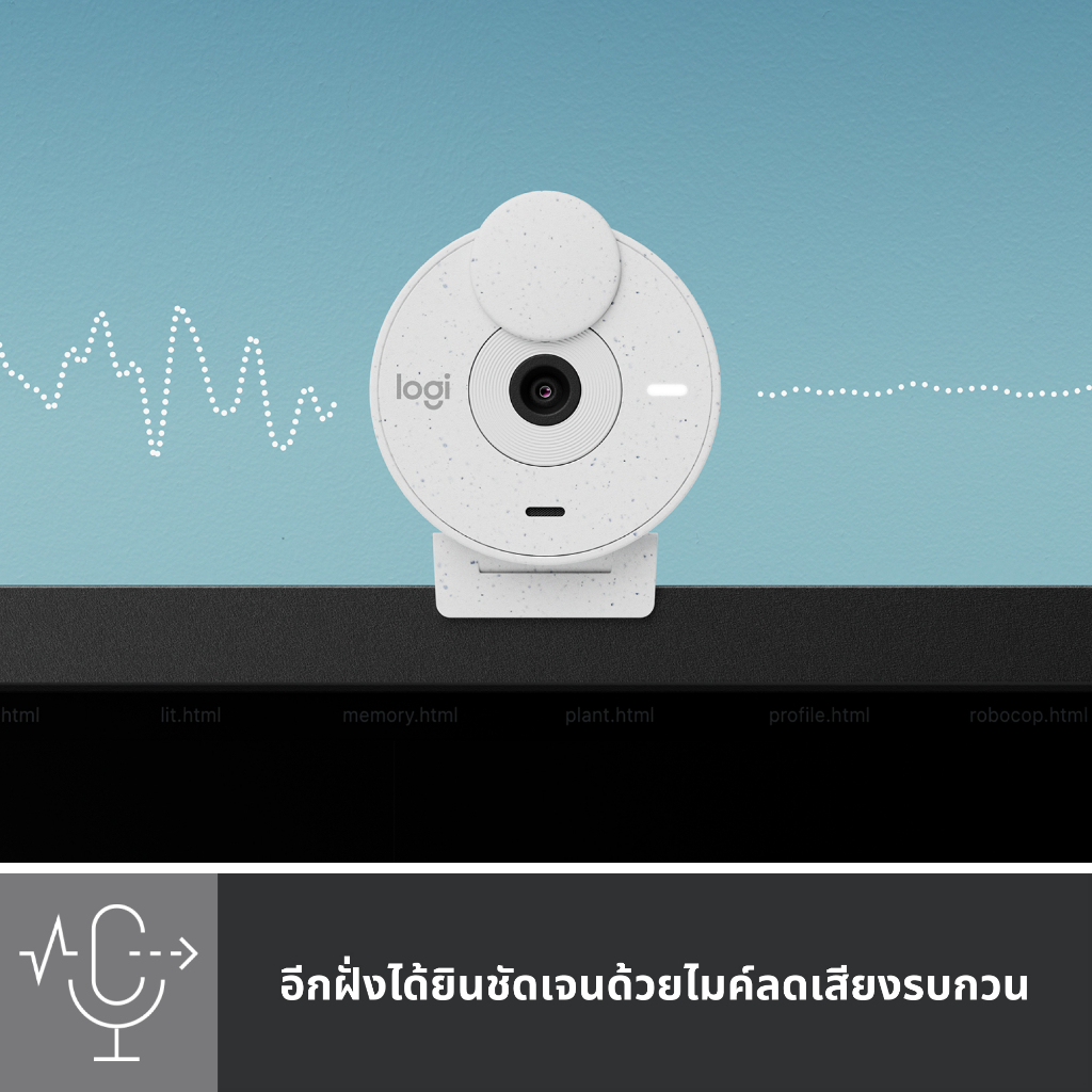 Logitech Brio 300 Full HD webcam กล้องเว็บแคม ความละเอียดสูง แก้ไขแสงอัตโนมัติ พร้อมไมโครโฟนลดเสียงรบกวน รองรับ USB-C
