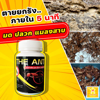 ลูกค้าใหม่ลดเพิ่ม 80.- (ซื้อ 2 ชิ้น ลดเพิ่ม 20%) The Ant ผงกำจัด มด ปลวก แมลงสาบ สูตรตายยกรัง ภายใน 5 นาที