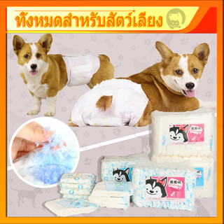 🤝ราคามิตรภาพ🐶 ผ้าอ้อมสำหรับสัตว์เลี้ยง มีหลายไซส์ กางเกงอนามัยสุนัข กางเกงผ้าอ้อมสุนัขตัวเมีย กางเกงอนามัย PET HOMIE