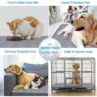SizeM/L Amazon Popular models Pet Pee Pad แผ่นรองฉี่สุนัข / แมว แบบซักได้ ช่วยฝึกขับถ่าย ซับฉี่ได้ดี กันซึม100%Washable