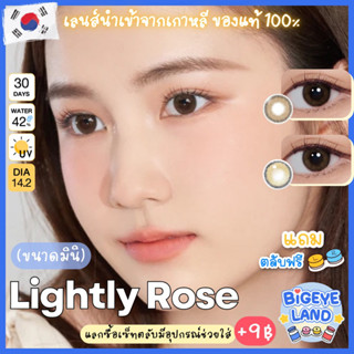 คอนแทคเลนส์ Lightly Rose Almond Brown / Brown / Gray (Luxzy) ขนาดมินิ 🦋 ลายคล้าย Mini Olivia