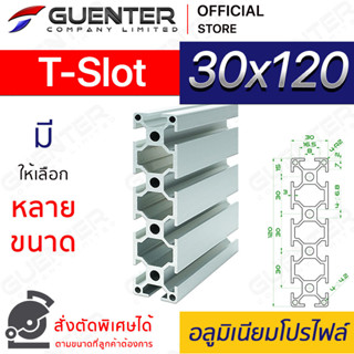 อลูมิเนียมโปรไฟล์ 30×120 T-Slot มีหลายขนาด (สั่งตัดได้) ยาวสุด 1 เมตร สินค้ามาตรฐาน คุณภาพดี ราคาถูกสุด [ALPC-312-TS]