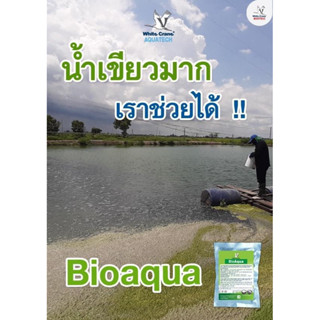 ไบโออะควา จุลินทรีย์ ลดน้ำเขียว ลดสีน้ำ ชนิดเม็ด หมักก่อนลงบ่อ