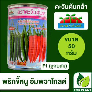 พริกขี้หนู อัมพวาโกลด์ F1 ลูกผสม ตะวันต้นกล้า บรรจุ 50 กรัม ราคา 820 บาท