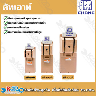 CHANG คัทเอาท์ 2P100A ตราช้างของแท้100% มาตรฐานมอก.ภายในภายนอกอาคาร แถมฟรี ฟิวส์ก้ามปู 2 ตัว