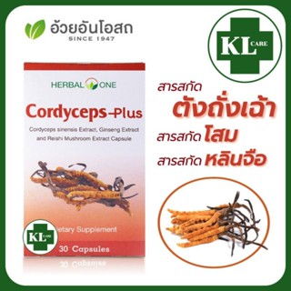 ถังเช่า พลัส ผสมโสม เห็ดหลินจือสกัด บำรุงร่างกาย ลดอาการอ่อนเพลีย ต้านอนุมูลอิสระ ลดน้ำตาลในเลือด อ้วยอันโอสถ 30 แคปซูล