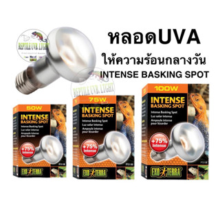 Exoterra UVA 50w. 75w. 100w. หลอดให้ความร้อนกลางวัน UVA Intense Basking Spot เต่าบก ซูคาต้า เบียดดราก้อน นก กิ้งก่า