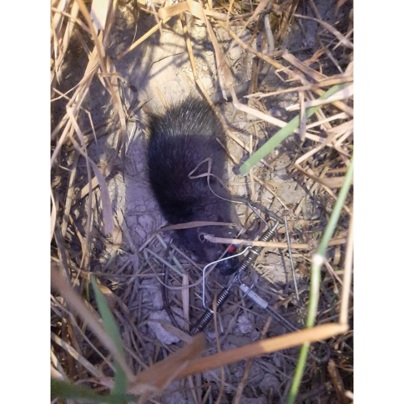 รูปภาพ 3