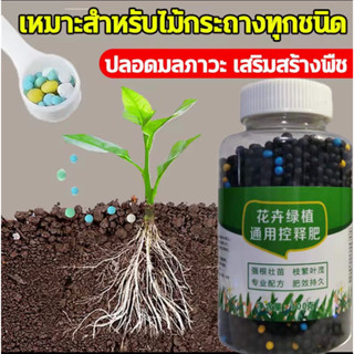 เห็นผลไวปุ๋ยสูตร ปุ๋ยเกล็ดทางใบ ปุ๋ย 300g สารอาหารที่คงอยู่นานถึง 40 วัน โตเร็วมาก ดอกไม้สวยกว่า ผลไม้มีขนาดใหญ่ อ่อนโยน