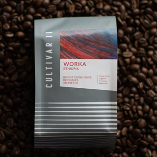 Ethiopia Worka [Filter] กาแฟคั่วอ่อน