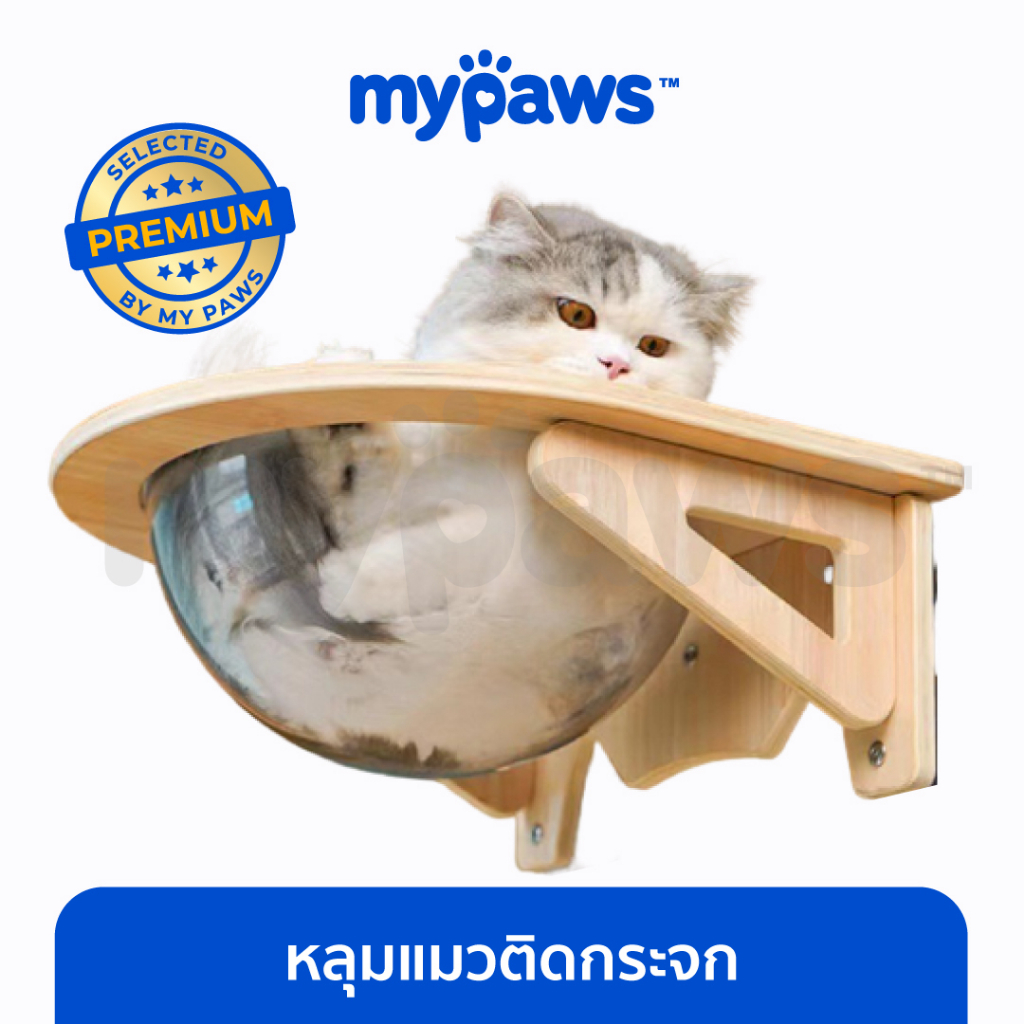 [ MYP18NV]My Paws หลุมใสติดกระจก หลุมอะคริลิคติดกระจก แข็งแรง รับน้ำหนักได้ 12 Kg.