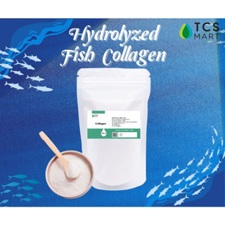 คอลลาเจน Hydrolyzed Fish Collagen (Contains Tri-Peptide)