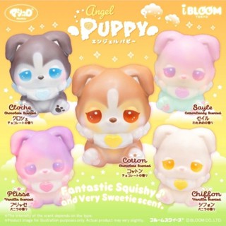 สกุชชี่ Ibloom Puppy น่ารักสุดๆๆๆ