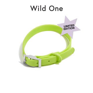 🍋 Limited Color! │ Wild One – Collar│ Limeade