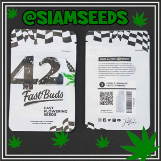 เมล็ดกัญชา Fastbuds Purple Lemonade Fastflowering Cannabis Seeds (Pack of 3)