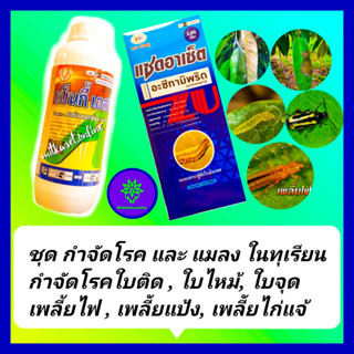 ชุด กำจัดโรคและแมลง ในทุเรียน คาร์เบนดาซิม 1 L+อะซีทามิพริด ขนาด1L ยาทุเรียน โรคใบติด ใบไหม้ ราแป้ง เพลี้ยไฟ เพลี้ยแป้ง