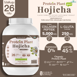 PROTEIN PLANT โปรตีนแพลนท์ สูตร 3 ( รสโฮจิฉะ ) ปริมาณ 2.27 kg/กระปุก โปรตีนพืช ออแกรนิค คอลลาเจนเปปไทด์ แอลกลูต้าไธโอน