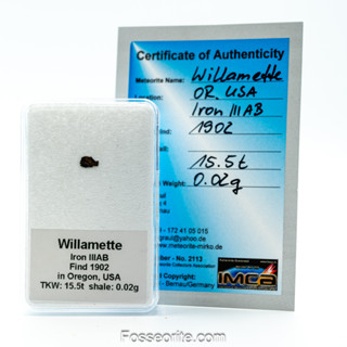 อุกกาบาต เหล็ก  Willamette Meteorite ชนิด Iron-nickel ชิ้นเล็ก พร้อมใบรับรอง จาก Germany #1 หนัก 0.02 กรัม