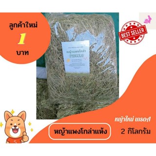 หญ้าแพงโกล่าแห้ง ถุงใหญ่ 2 กิโลกรัม (Pangola grass 2 kg) ราคาถูกที่สุด  (🎉 สินค้าจริงร้านนี้เท่านั้น📍)[ลูกค้าใหม่ 1 บาท]