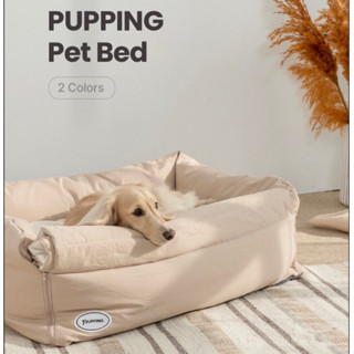 Pupping Pet Bed ( 3in1 Bumper Cusion) เตียงสัตว์เลี้ยง เบาะนอนสุนัข เบาะนอนสัตว์เลี้ยง แบรนด์ Pupping นำเข้าจากเกาหลี 🇰🇷