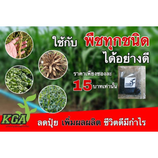 ผงดำ KGA เป็นสารเสริมประสิทธิภาพปุ๋ยกึ่งฮอร์โมน