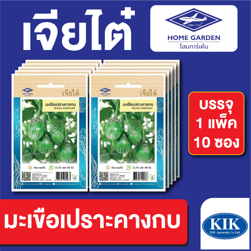 ผักซอง เจียไต๋ CT15 มะเขือเปราะคางกบ เมล็ดพันธุ์ แพ็คละ 10 ซอง