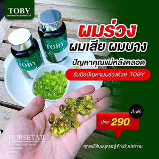 Toby Horsetail วิตามินลดผมร่วง ผมบาง หัวล้าน อาหารเสริมบำรุงเส้นผม หญ้าหางม้า บำรุงผม ผมแห้งเสีย