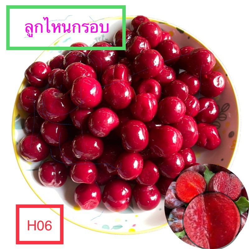ลูกไหนกรอบ สามารถกินแก้เมารถ เมาเรือได้ ทานง่าย อร่อยด้วย พกพาสะดวก ซื้อเป็นของฝากก็ได้รสชาติอมเปรี้ยวหวานนิดๆพร้อมเสิร์