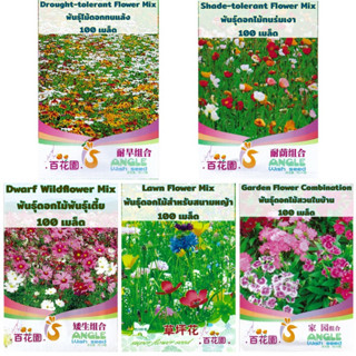 เมล็ดพันธุ์ ดอกไม้ พันธุ์เตี้ย / ดอกไม้ พันธุ์ผสม ( Dwarf wildflower Combination mix ) บรรจุ 100 เมล็ด