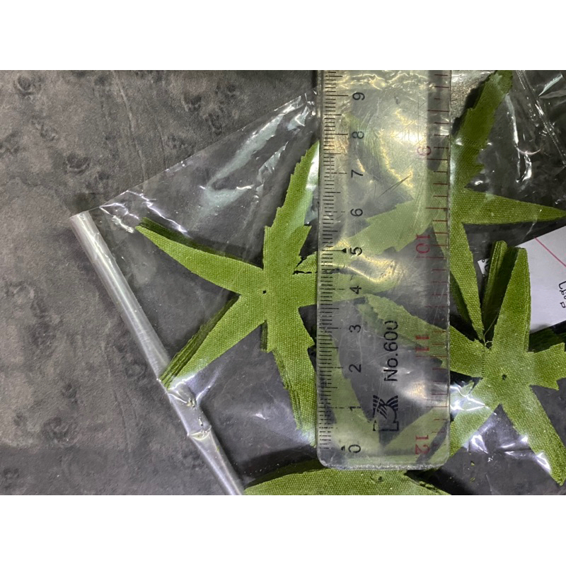 รูปภาพ 6