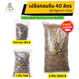 ✅ส่งฟรี สแฟกนั่มมอสจีน (Sphagnum Moss)