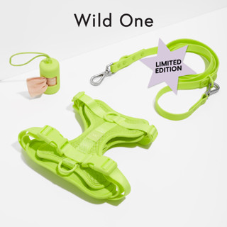 🍋 Limited Color! │ Wild One – Walk Sets│ Limeade