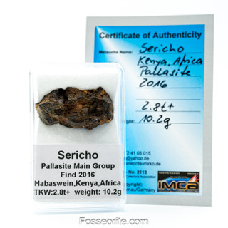 อุกกาบาต หินผสมเหล็ก SERICHO - Pallasite ชิ้นเล็ก พร้อมใบรับรอง จาก Germany #2 หนัก 10.2g