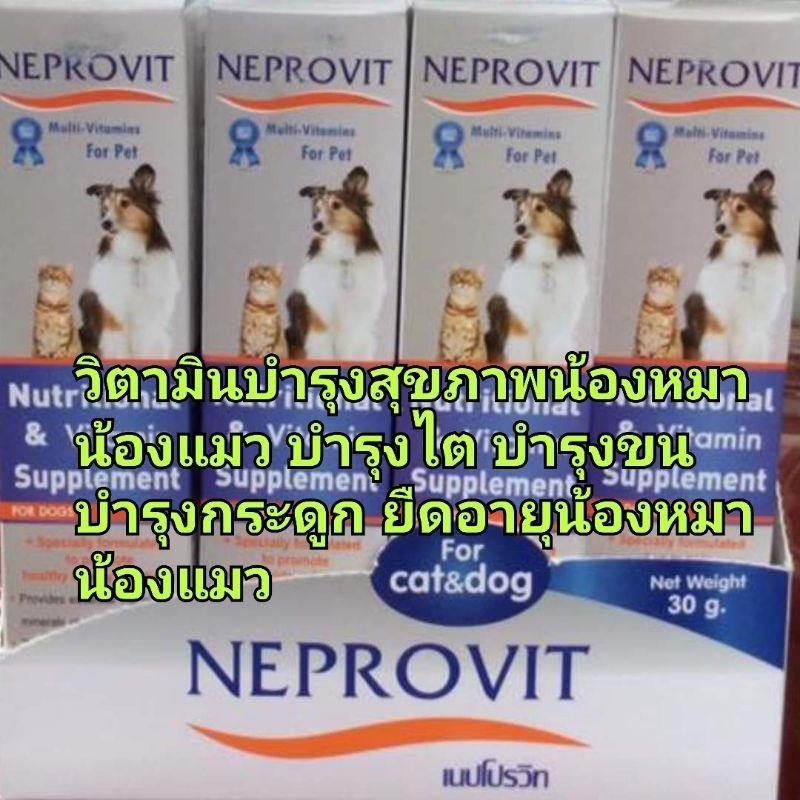 2 แถม 2 🐶Neprovit ลอตล่าสุด  อาหารเสริมบำรุงสุขภาพ Exp.2027