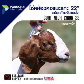 โซ่คล้องคอแพะแกะ 22 (ด้ามใส) โซ่สวมคอ โซ่แพะ โซ่คล้องคอ GOAT NECK CHAIN 22″, Sullivan USA