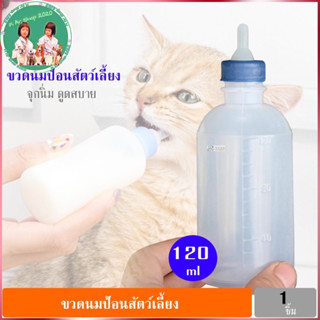 ขวดนมลูกแมวแรกเกิด 120 ml