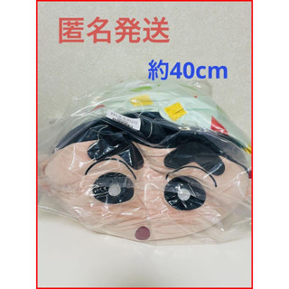 Crayon Shin-chan Mochimochi Tsumicko Big Cushion [ส่งตรงจากญี่ปุ่น]