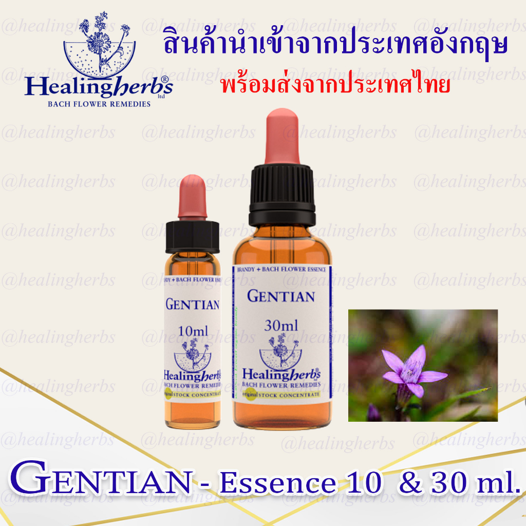 (Gentian) Bach Flower Essence (droppler) ขนาด 10 ml. หรือ 30 ml. ของแท้ 100% ***พร้อมส่งในไทย***