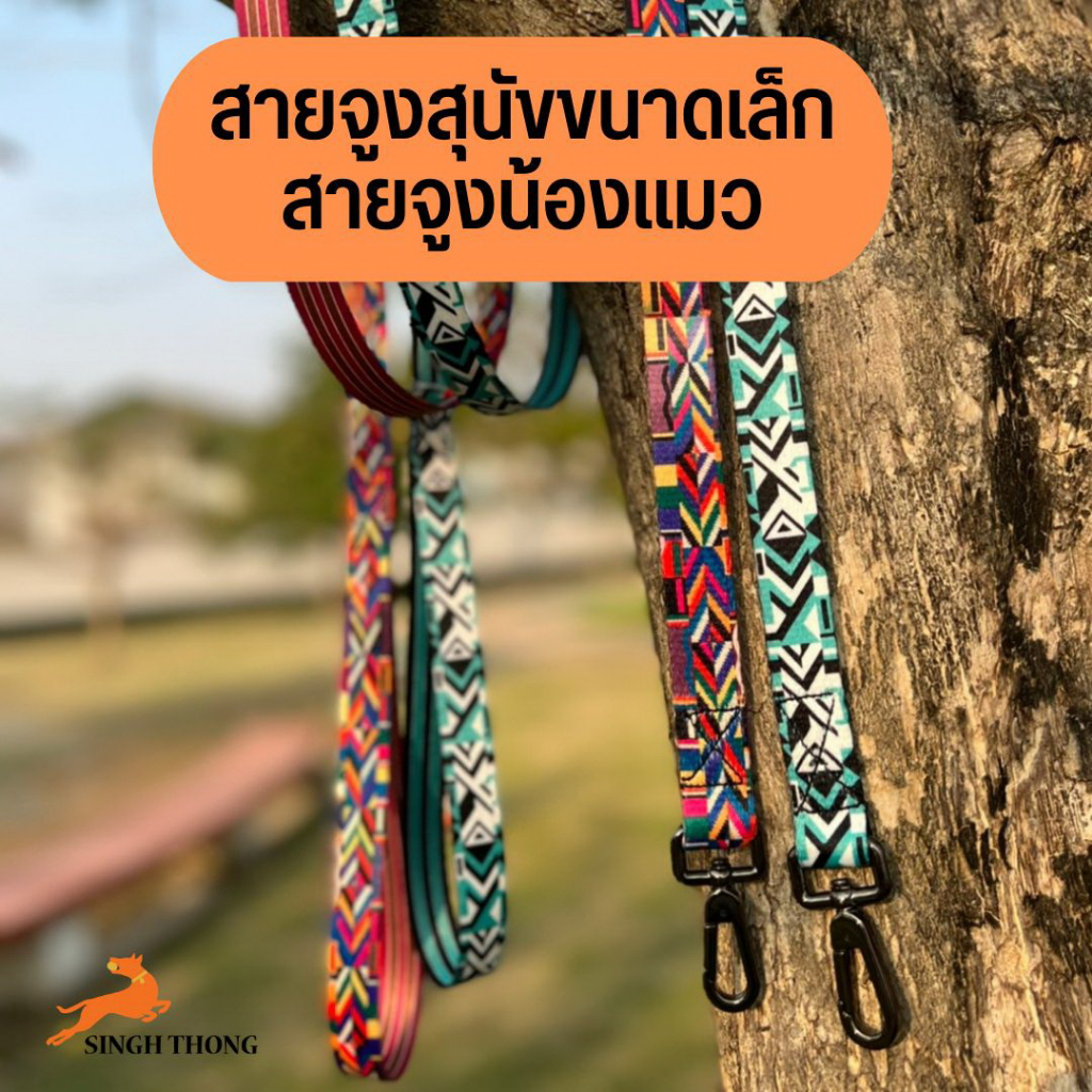 SINGH THONG สายจูงสุนัข สายจูงสัตว์เลี้ยง สำหรับจูงสุนัขขนาดเล็ก แมว กระต่าย ปอม