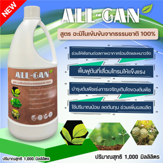 ปุ๋ยน้ำอะมิโนเข้มข้น1000ML.จากธรรมชาติ100%บำรุงต้นพืชเร่งการเจริญเติบโตช่วยเพิ่มผลผลิตALL GANช่วยสังเคราะห์แสง