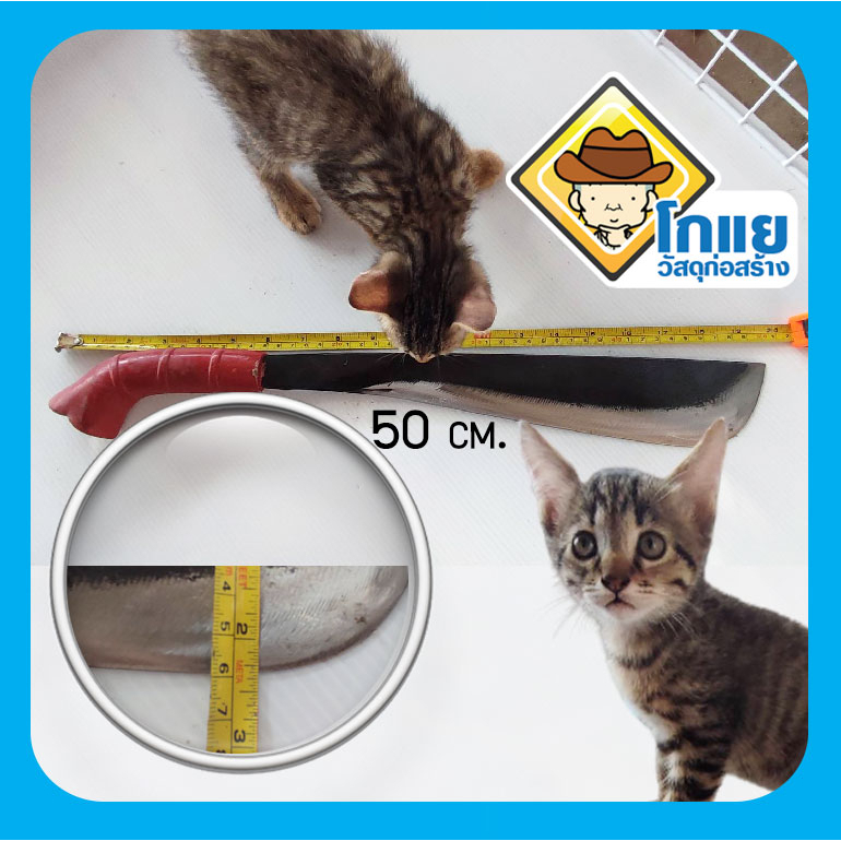 มีดพร้ามาเลเซีย_งามโดนใจ_คมโดนขาได้เลือดนะระวังด้วย - รูปที่ 6