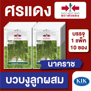 เมล็ดพันธุ์ ผักซอง บวบงูนาคราช ตราศรแดง บรรจุแพ็คล่ะ 10 ซอง ราคา 70 บาท