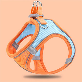 Pet harness สายรัดอกสุนัข แมว Size XS เชือกยาว 150cm น้ำหนักตัว 3-4 kg สีส้ม-ฟ้า ST221011-17O-XS